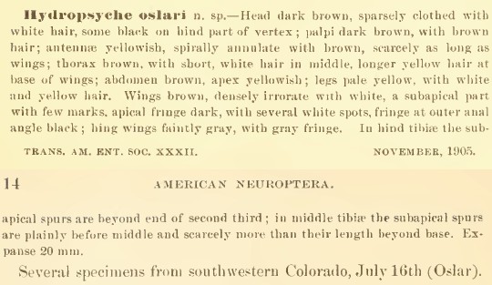 Nathan Banks 1905 description of the caddisfly Hydropsyche oslari